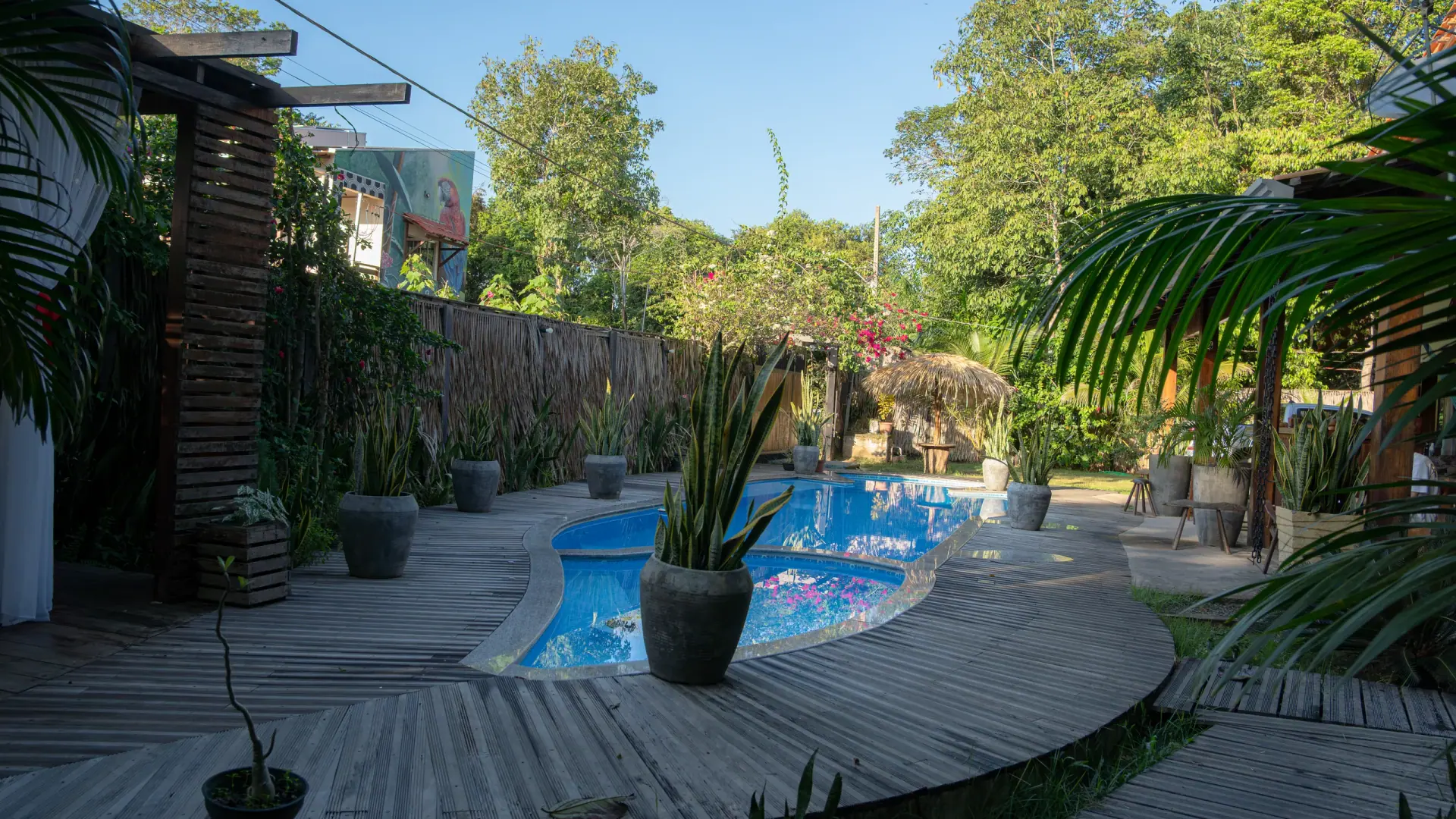 Piscina cercada por jardim tropical e deck de madeira em manhã ensolarada